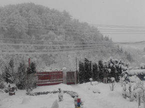  Pensiunea D O R U Arges  Котенешти